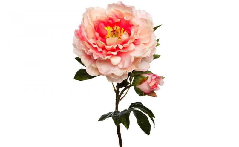 Пион нежно-розовый, 67см (24) 9F28071H-4820 - в Мебель Лотус в Ставрополе
