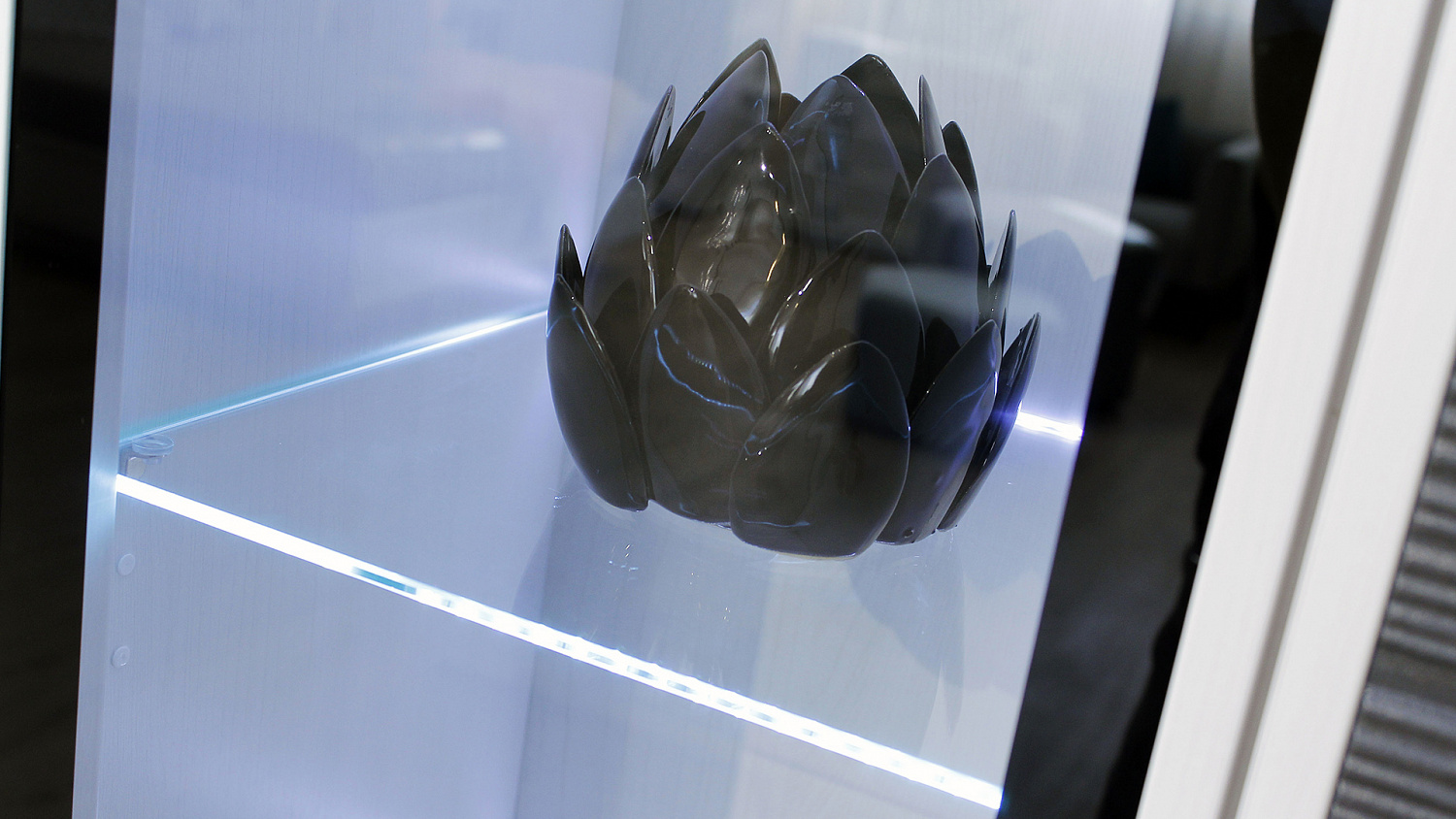 Гостиная Камелия в цвете Снежный Ясень/Графит!